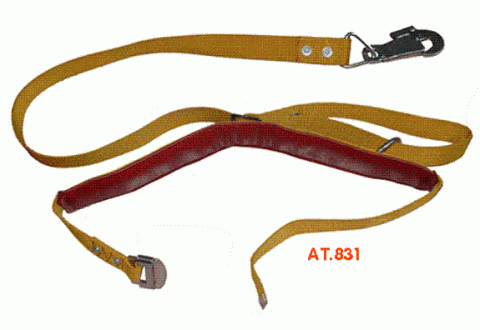Dây An Toàn Leo Trụ AT 831