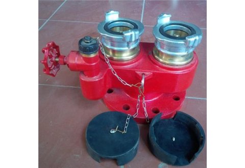 Họng tiếp nước chữa cháy 2 cửa D65